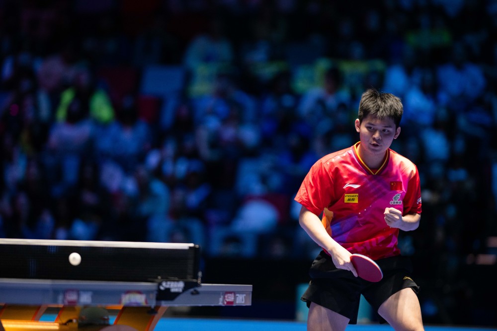 从不应该被 从不应该被